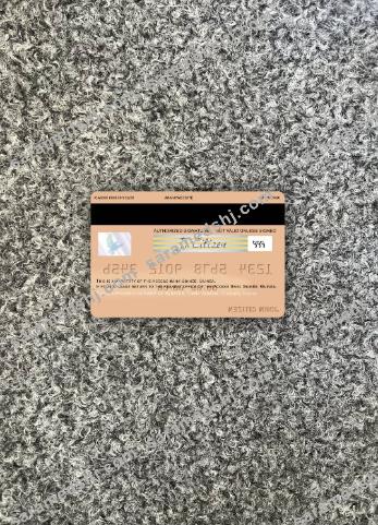 Guinea Access Bank Guinée visa debit card photolook back